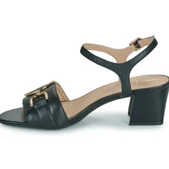 Geox - D35RNB000TUC9997