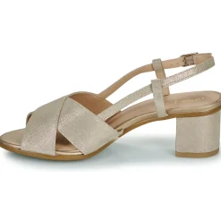 Geox - D55RXA000MAC2012