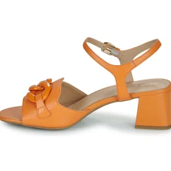 Geox - D55YQC000TUC2008