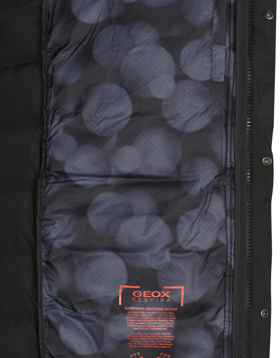 Geox - M3628L-T2961-F9000