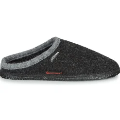 Giesswein - DANNHEIM