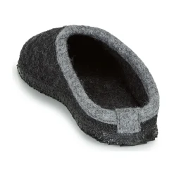 Giesswein - DANNHEIM