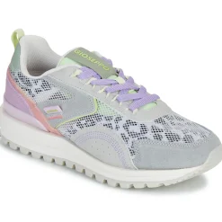 Gioseppo - CAVENDISH