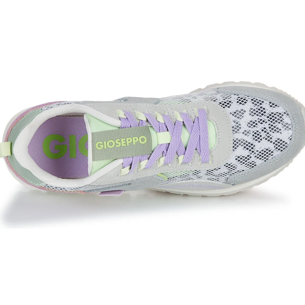 Gioseppo - CAVENDISH