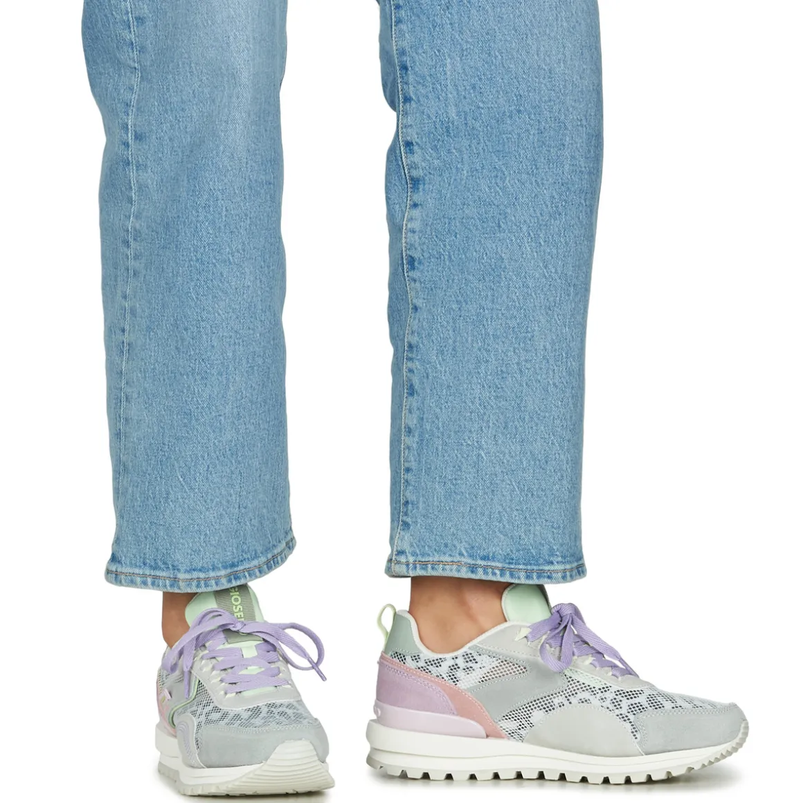 Gioseppo - CAVENDISH