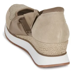 Gioseppo - DARLINGTON