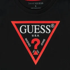 Guess - THERONN
