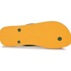 Havaianas - BRASIL LOGO