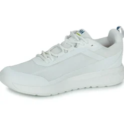 Helly Hansen - CREW LOW