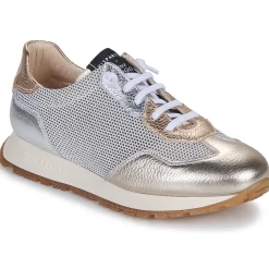 Hispanitas - KANSAS-CHV25386