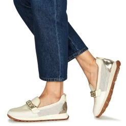 Hispanitas - KANSAS-HV253948