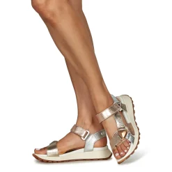 Hispanitas - MAUI-CHV25389