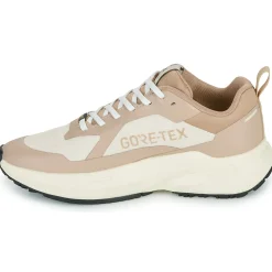 IgI&CO - D.KAIZEN & GTX