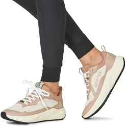 IgI&CO - D.KAIZEN & GTX