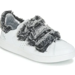 Ippon Vintage - FLIGHT POLAR