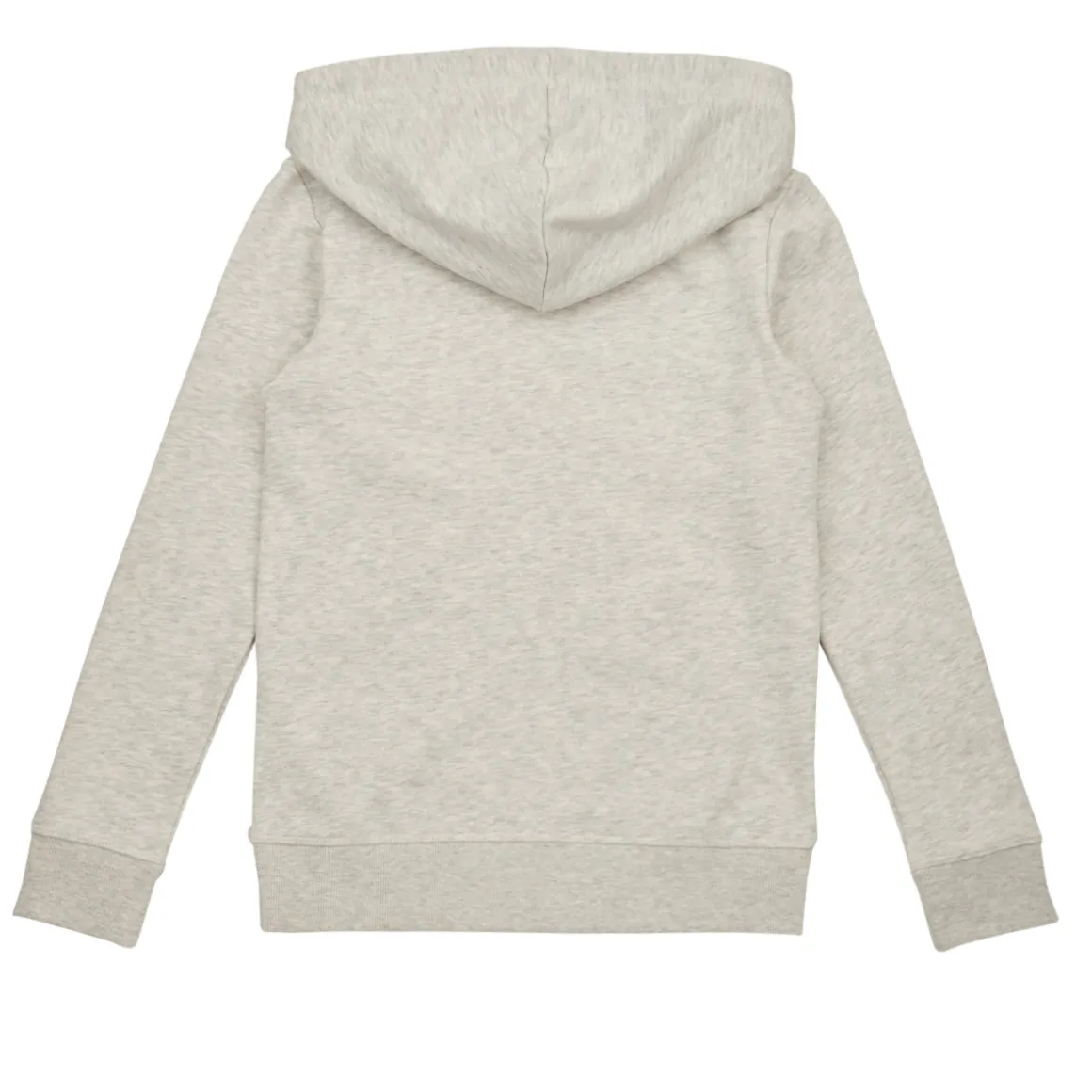 Jack & Jones - JORCRAYON SWEAT ZIP HOOD