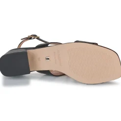 JB Martin - VIOLAINE