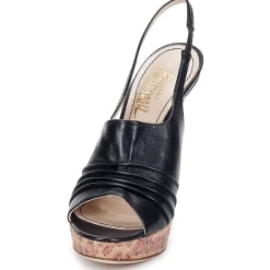 Jerome C. Rousseau - CAMBER