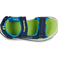 Kangaroos - K-AS Ture