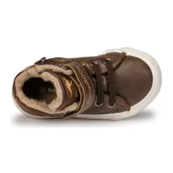 Kangaroos - KAVU III