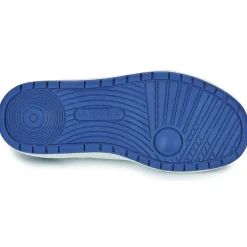 Kangaroos - K-CA Shaggy EV