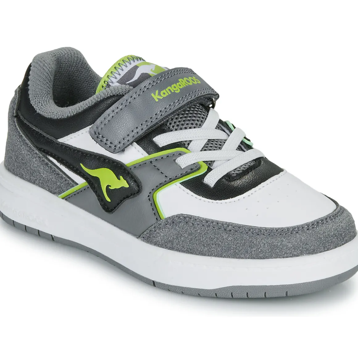 Kangaroos - K-CP Bounder EV