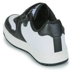 Kangaroos - K-CP Fair EV