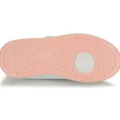 Kangaroos - K-CP Fresh EV