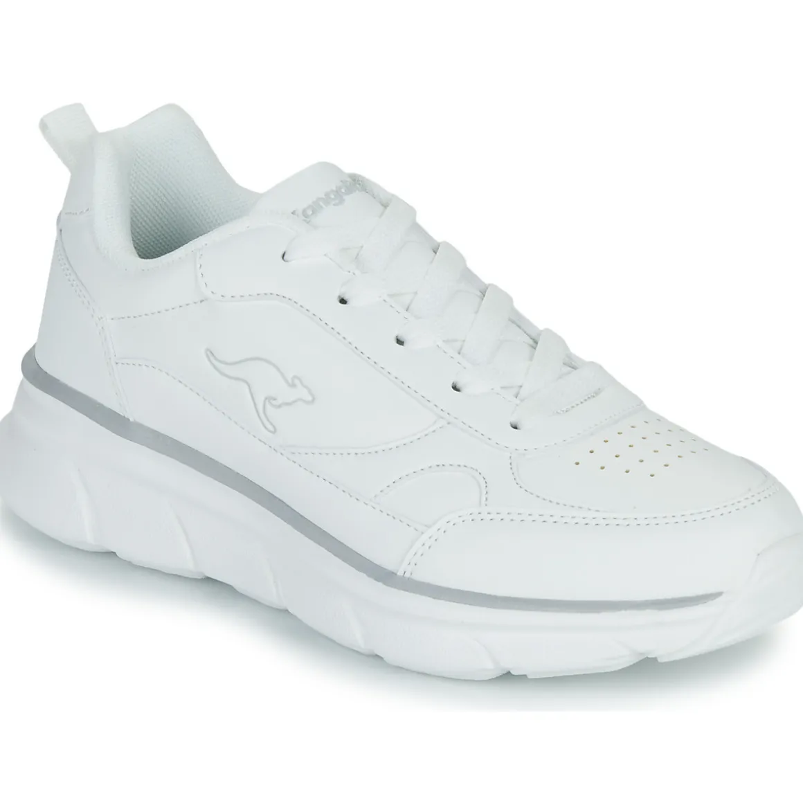 Kangaroos - K-CR Adina