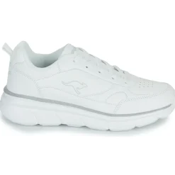 Kangaroos - K-CR Adina