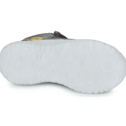 Kangaroos - KI-SPEEDLITE EV