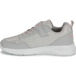 Kangaroos - KL-Win EV