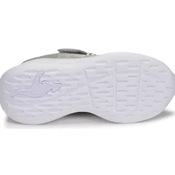 Kangaroos - KQ-FLEET EV