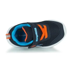 Kangaroos - KY-LILO EV