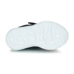 Kangaroos - KY-LILO EV