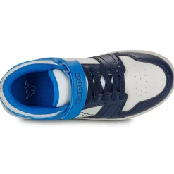 Kappa - RERNAL EV KID