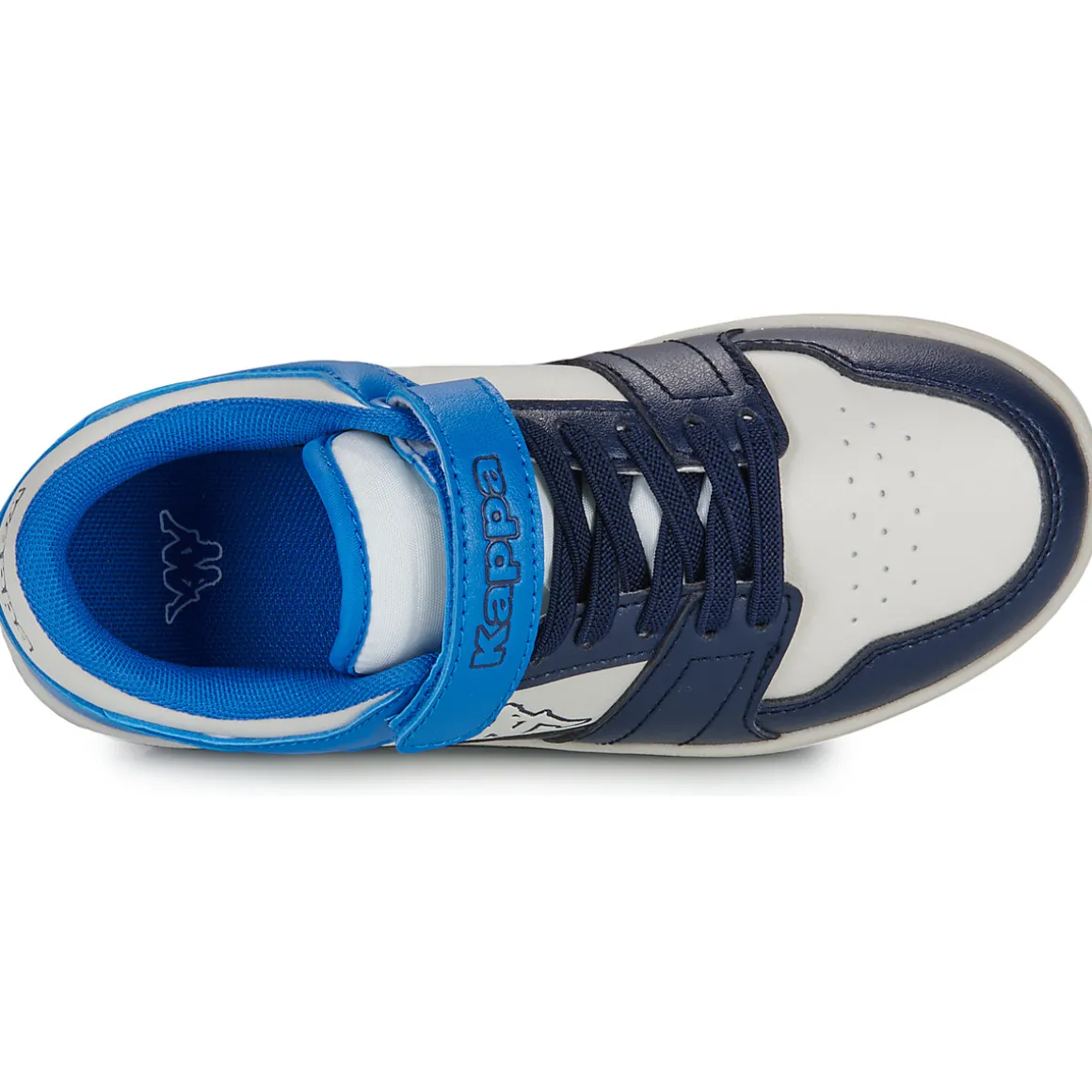 Kappa - RERNAL EV KID