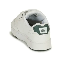 Lacoste - T-CLIP 0121 1 SUI