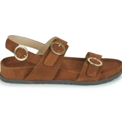 L'Atelier Tropézien - SB408