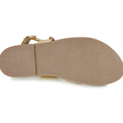 L'Atelier Tropézien - SH1301