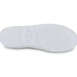 Le Temps des Cerises - BASIC 02