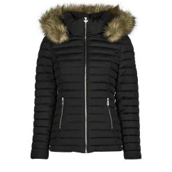 Les Petites Bombes - ALIMA