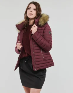 Les Petites Bombes - ALIMA