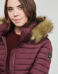 Les Petites Bombes - ALIMA