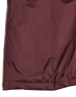 Les Petites Bombes - ALIMA