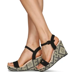 Les Petites Bombes - DALA