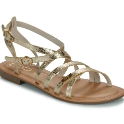 Les Petites Bombes - FIKEN