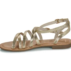 Les Petites Bombes - FIKEN