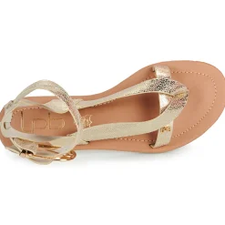 Les Petites Bombes - FIRMA