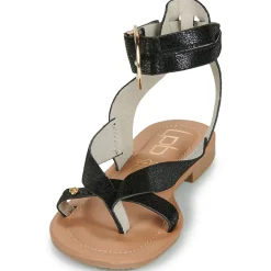 Les Petites Bombes - FIRMA